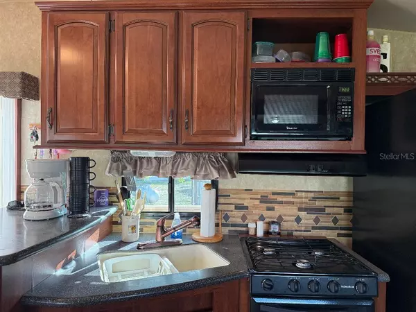 Weeki Wachee, FL 34613,9517 BLACK BEAR DR