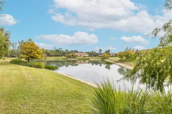 Odessa, FL 33556,11599 CALLISIA DR