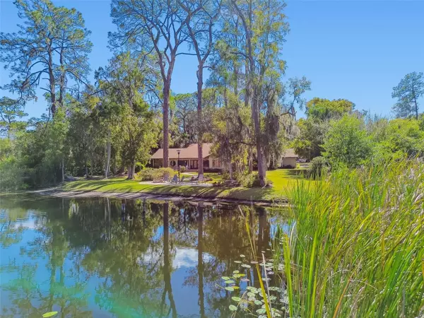 Odessa, FL 33556,8011 N MOBLEY RD