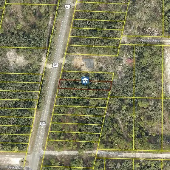 Webster, FL 33597,LOT 28 TREIMAN BLVD