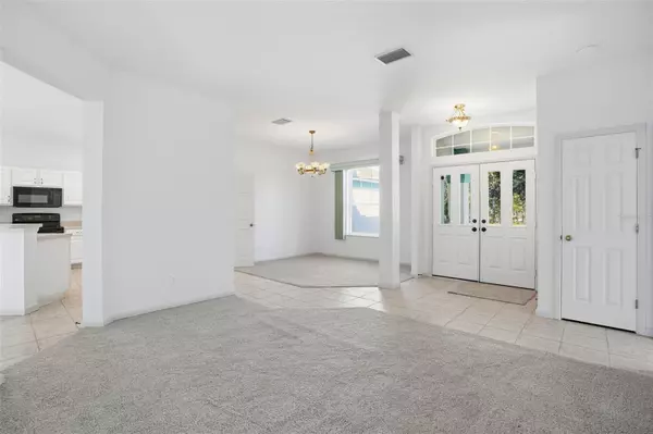 Homosassa, FL 34446,16 NEPHTHYTIS CT