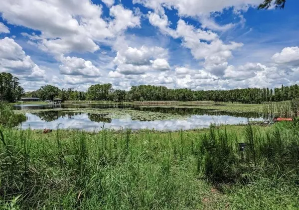 Land O Lakes, FL 34638,4635 COBB RD