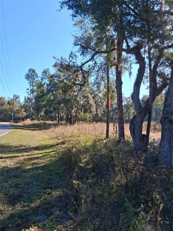 Webster, FL 33597,0 LONG CIR