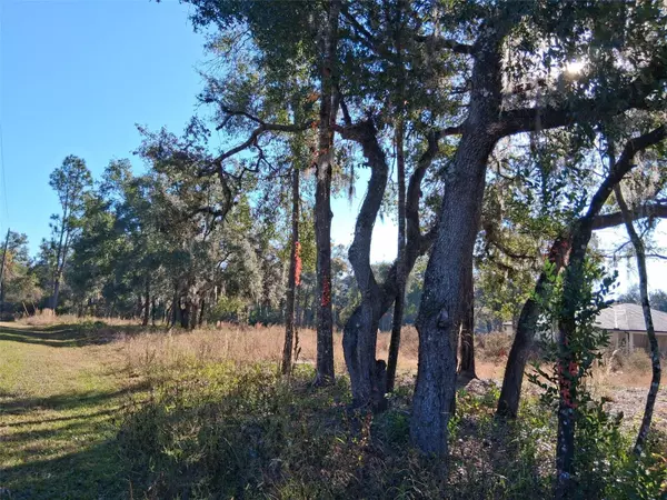 Webster, FL 33597,0 LONG CIR