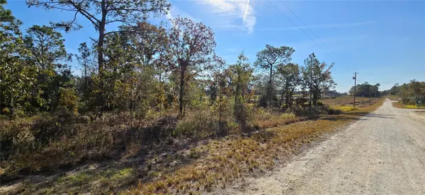 Brooksville, FL 34614,16392 CURLEW RD