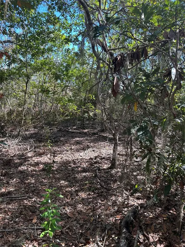 Inverness, FL 34453,7740 E SMOKE TRL