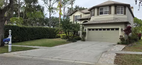 Lutz, FL 33558,4217 FISHERMANS LAKE DR