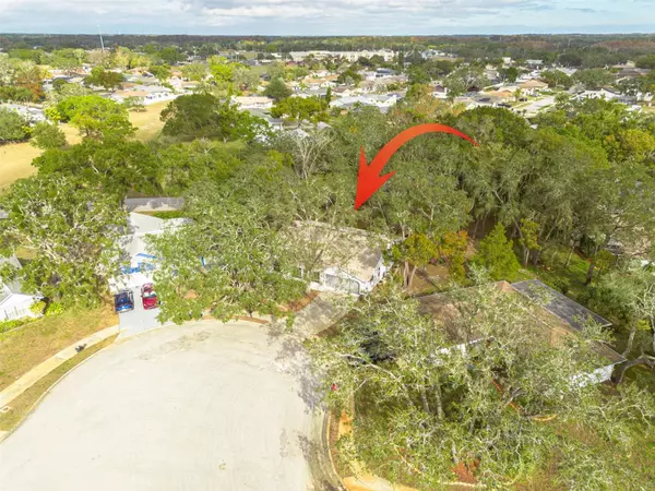 Port Richey, FL 34668,8619 GOLD PINE DR