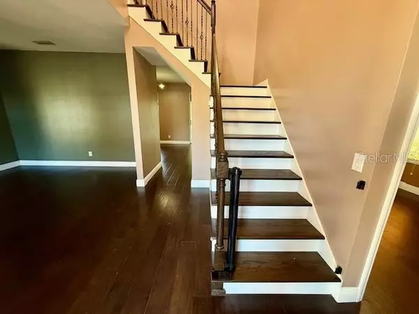 Land O Lakes, FL 34639,3914 ROSWELL PL