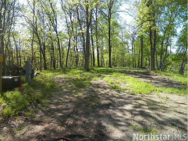 Park Rapids, MN 56470,19082 Grouse RD