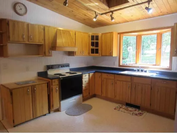 Nevis, MN 56467,21884 Friendly Bay DR