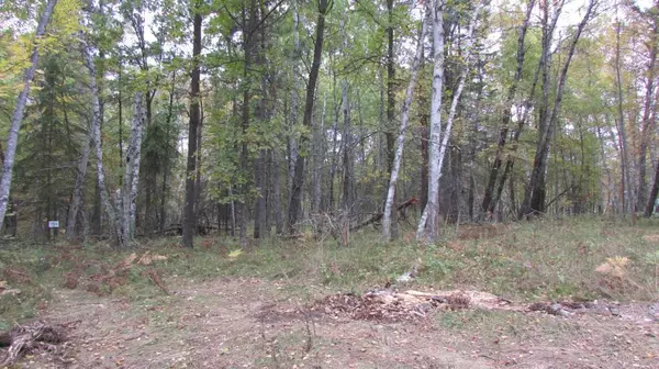 Park Rapids, MN 56470,Lot 8 Blk 1 Falling Leaf TRL