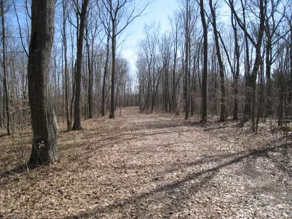 Lot 3 Hungry Lake RD, Rusk Twp, WI 54895