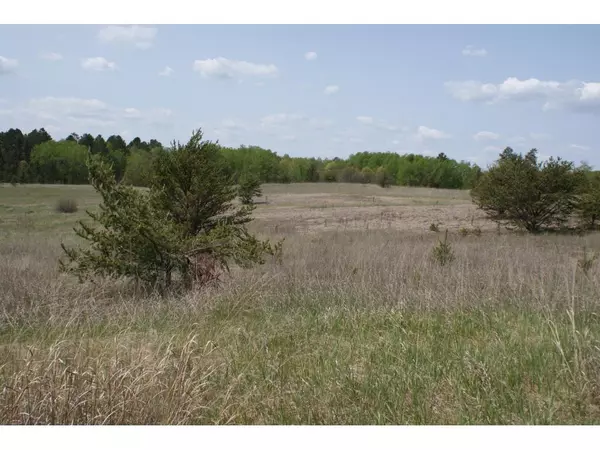 Pine River Twp, MN 56474,TBD SW Golf View Dr