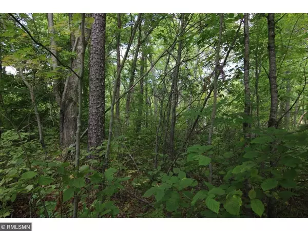 Breezy Point, MN 56472,Lot 17 Flower TRL