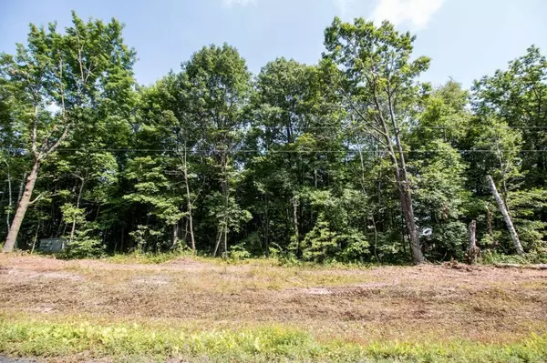 Willard Twp, WI 54745,Lot 8 Woodlawn DR