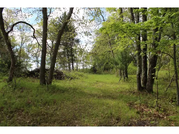 Webb Lake, WI 54830,0 (Lot 8) Long Lake RD