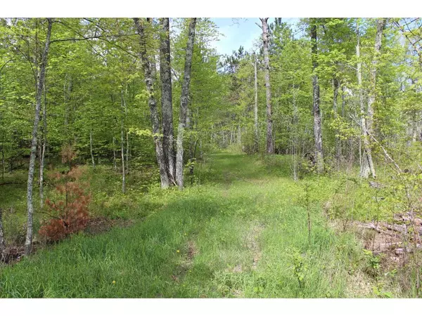 Webb Lake, WI 54830,0 (Lot 8) Long Lake RD