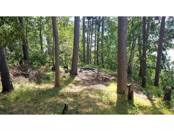 Nevis, MN 56467,27997 Far North DR