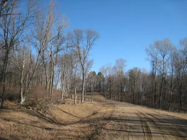 Hackensack, MN 56452,lot 6-8 Red Oak DR