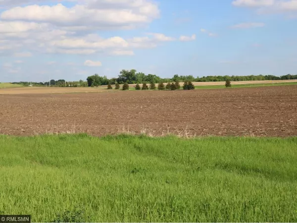 Le Sueur, MN 56058,29967 Prairie Sage LN