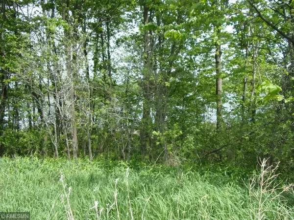 Amery, WI 54001,Lot#2 134th AVE