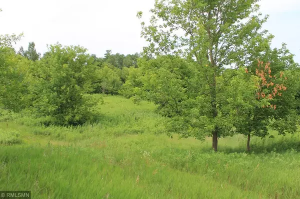 Osceola, WI 54020,Lot 8 280th ST