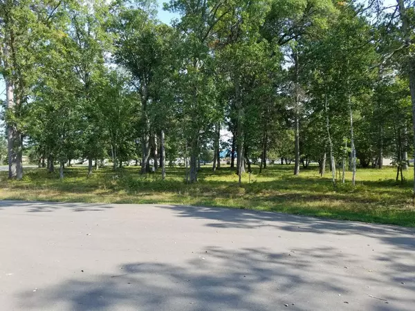 Crosslake, MN 56442,Lot 4 Blk 1 Addi LN