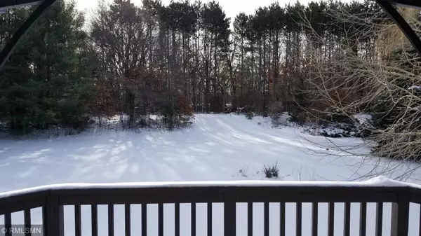 Wyoming, MN 55092,4857 252nd ST