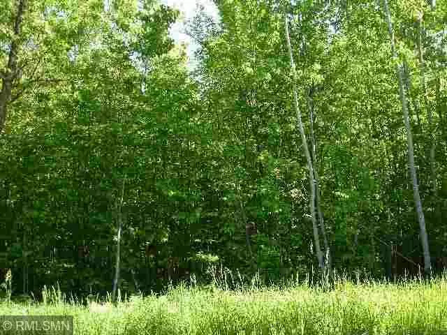 Lot 5 63rd AVE NW, Walker, MN 56484