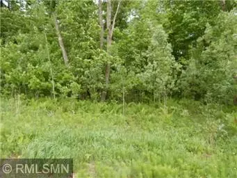 Moose Lake, MN 55767,Lot 4 Jon Brown Drive