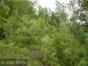 Moose Lake, MN 55767,Lot 13 Langhorst Court