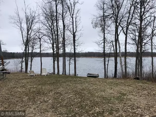 Walker, MN 56484,4172 Turtle LN NW