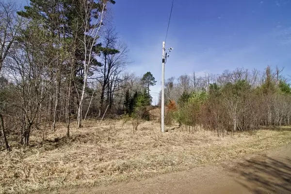 Outing, MN 56662,2017 Coontail DR NE