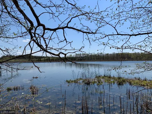 Sturgeon Lake, MN 55783,xxx Sturgeon Island Loop (Lot 45)