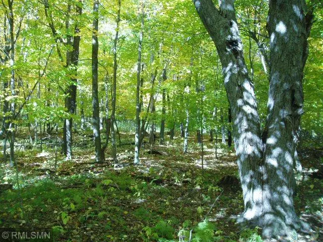 Lot 2 Black Brook RD, Lincoln Twp, WI 54893