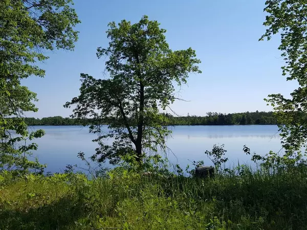 Webster, WI 54893,Lot 4 Hopkins RD