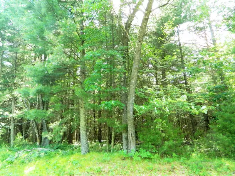 Lot 2 Fandeen RD, Siren, WI 54872