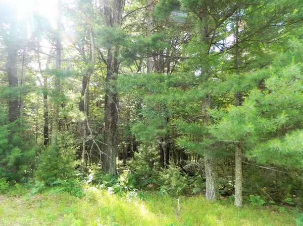 Lot 1 Fandeen RD, Siren, WI 54872