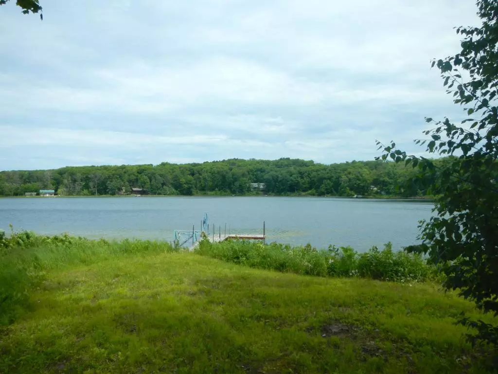 Randall, MN 56475,7091 W Camile Lake DR