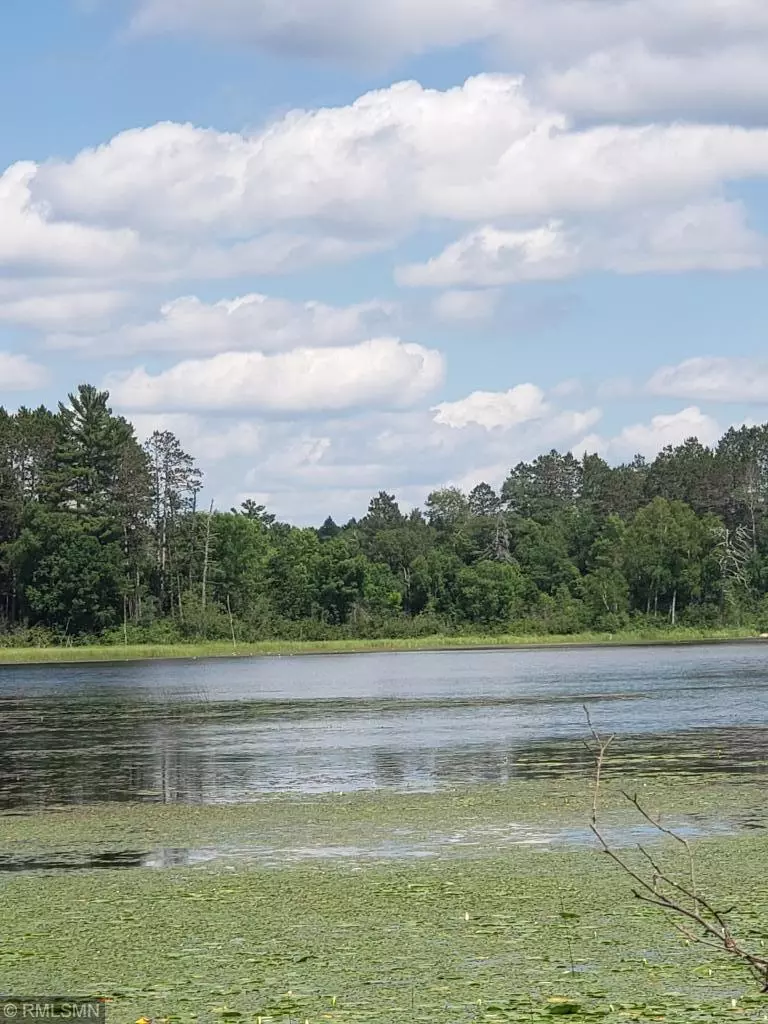 Two Inlets Twp, MN 56470,xxx Fools Lake Drive