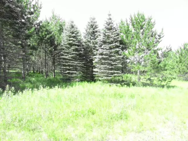 Pine River Twp, MN 56435,TBD BEAR DEN DR SW