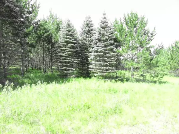 TBD BEAR DEN DR SW, Pine River Twp, MN 56435