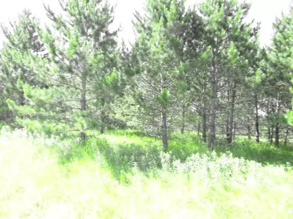 TBD BEAR DEN DR SW, Pine River Twp, MN 56435