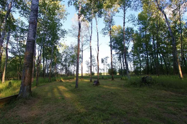 Palisade, MN 56469,TBDxxx 435th LN