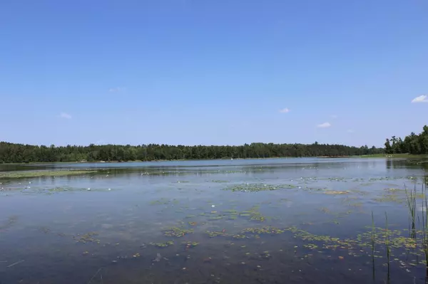 Nevis, MN 56467,TBD Heritage TRL