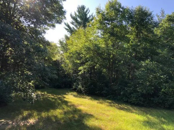 49xx Springbrook Trail, Swiss Twp, WI 54830