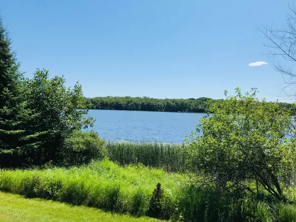 Balsam Twp, MN 55709,44606 Bittners Point RD