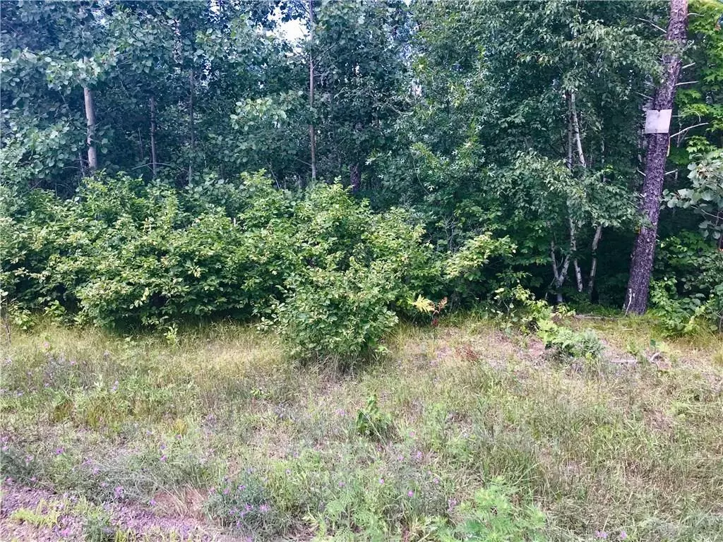 Bass Lake Twp, WI 54843,Lot Rohlf Roads