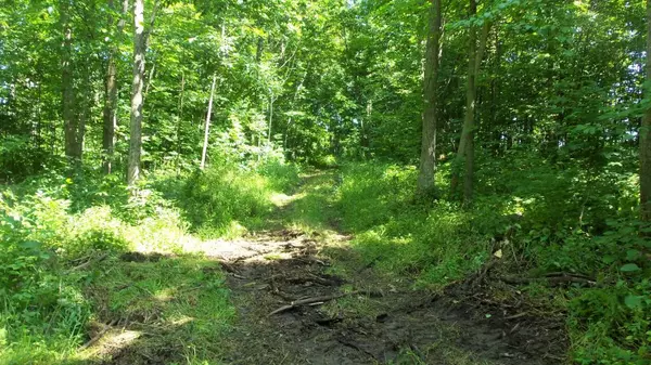 Balsam Lake, WI 54810,12 ACRES 90TH ST